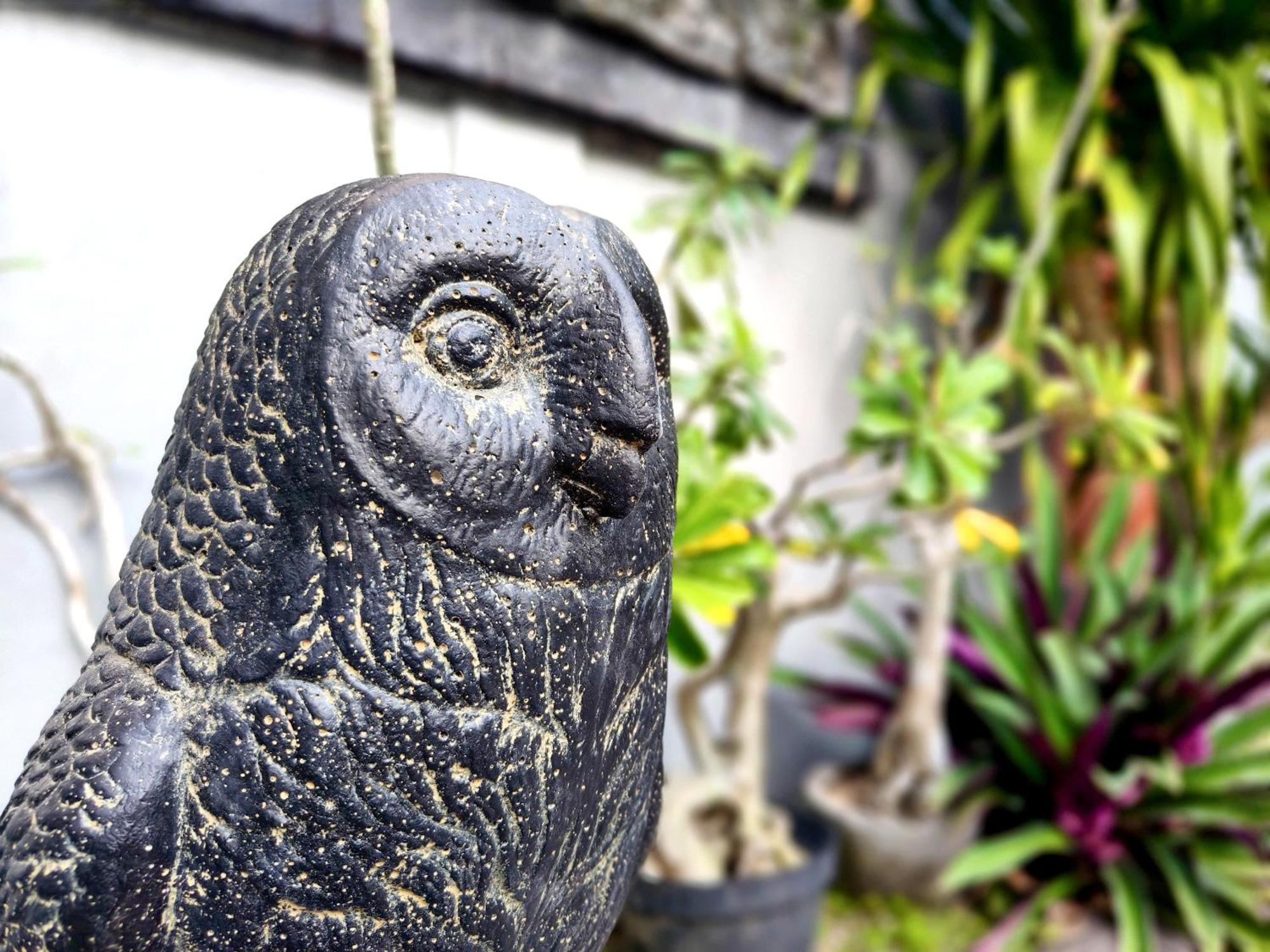 Bed and Breakfast Panda Lumbung à Sanur Extérieur photo